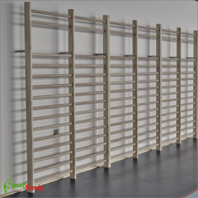 The gymnastic wallbar, single 90x300cm