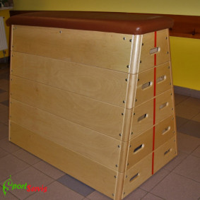 Gymnastic vaulting box, synthetic leather 2
