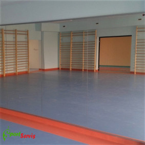 Gym mirror without hand bars