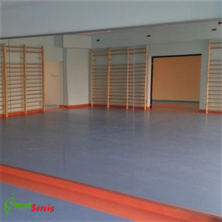 Gym mirror without hand bars