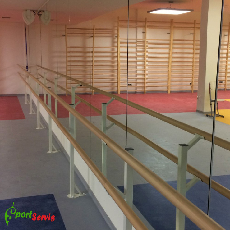 Gym mirror with single bar