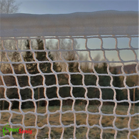 The badminton net, white training